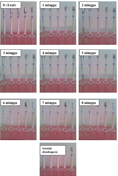 Gambar 4.3. Pembentukan creaming pada emulsi selama 8 minggu penyimpanan 