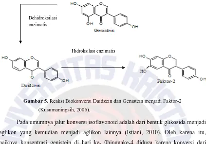 Gambar 5. Reaksi Biokonversi Daidzein dan Genistein menjadi Faktor-2 