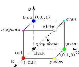 Gambar 1. Model warna RGB 