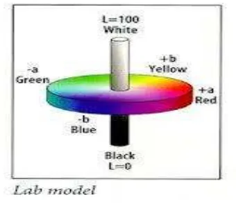 Gambar 2. Model warna LAB [2] 