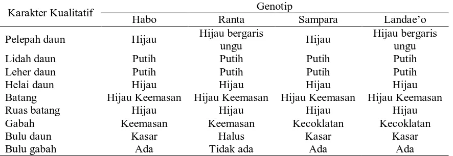 Tabel 1. Karakter Kualitatif Empat Genotip Padi Gogo Lokal Asal Kabupaten Banggai Yang Diamati 