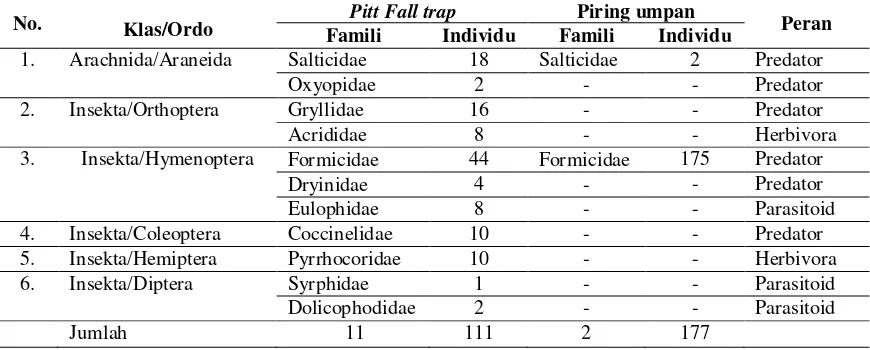 Tabel 1.  Jumlah Ordo, Famili dan individu Arthropoda pada Permukaan Tanah      Pertanaman Cabai (Capsicum annumL.) 20 HST