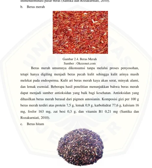 Gambar 2.4. Beras Merah 