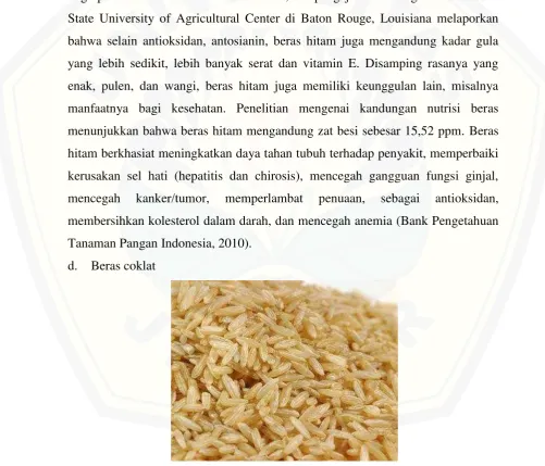 Gambar 2.6. Beras Coklat 
