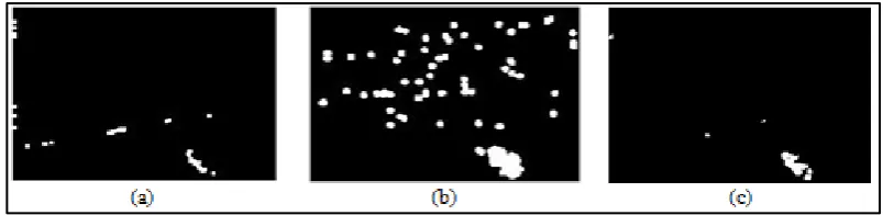 Gambar 3. (a). Frame dari Citra asal (n-1), (b). Frame dari Citra asal (n),  (c). Hasil Background Subtraction 