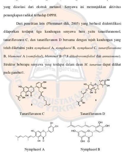 Gambar 1. Struktur senyawa yang terdapat pada daun M. tanarius (Phommart, 2005) 