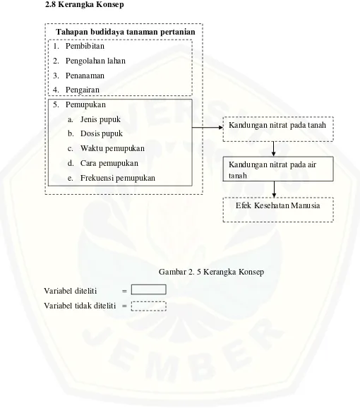 Gambar 2. 5 Kerangka Konsep 