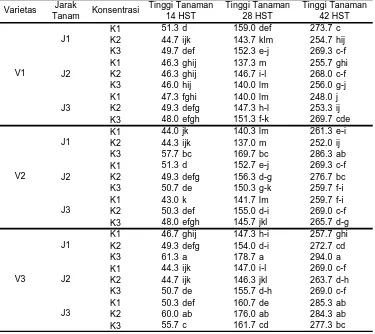 Tabel 2.  Rata-rata tinggi tanaman jagung akibat interaksi antara varietas, jarak tanam, dan konsentrasi pupuk daun pada umur 14, 28, dan 42 hari setelah tanam