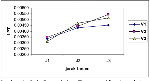 Gambar 6.  Laju Pertumbuhan Tanaman akibat interaksi antara varietas dan  jarak tanam antara umur 28-42 hari setelah tanam