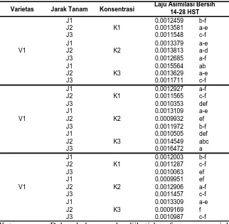 Tabel 7.  Rata-rata laju asimilasi bersih akibat interaksi antara varietas, jarak tanam, dan konsentrasi pupuk daun antara umur 14 – 28 hari setelah tanam