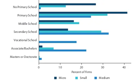 Figure 7 Educational attainment of micro and small irm managers and operators, by age group
