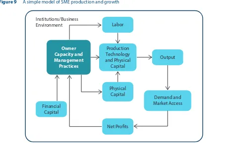 Figure 9 A simple model of SME production and growth 