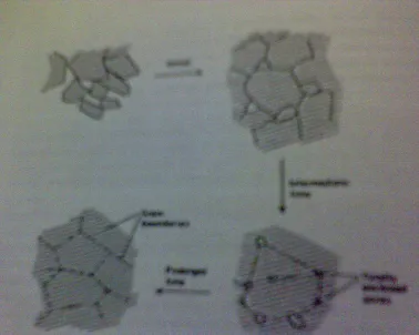 Gambar 2 proses terjadinya sintering (Hughes, 1984)  