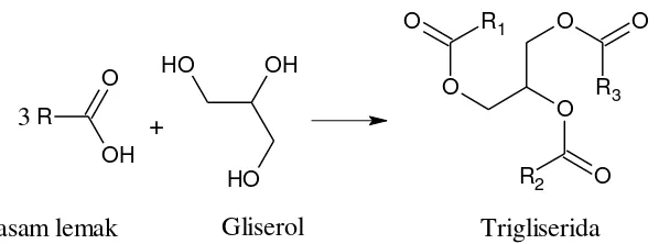 Gambar 2.1. Reaksi pembentukan trigliserida (Fessenden, 1997). 