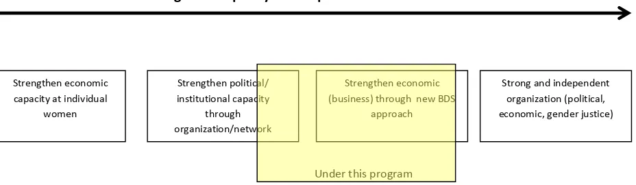 Figure 2 Capacity Development Framework