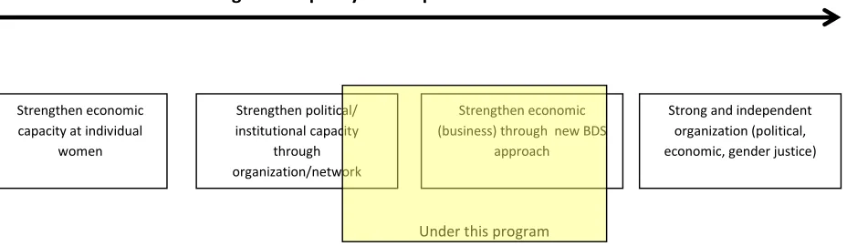 Figure 2 Capacity Development Framework