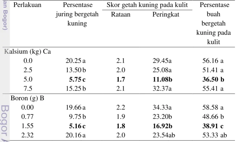 Tabel 4 Persentase juring bergetah kuning, skor dan persentase buah yang kulitnya 
