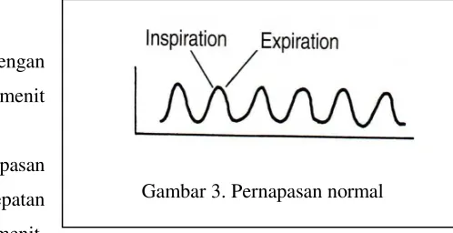 Gambar 3. Pernapasan normal 