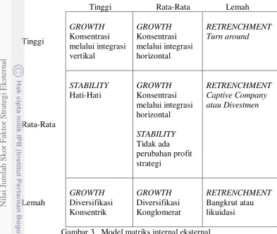 Gambar 3.  Model matriks internal eksternal 