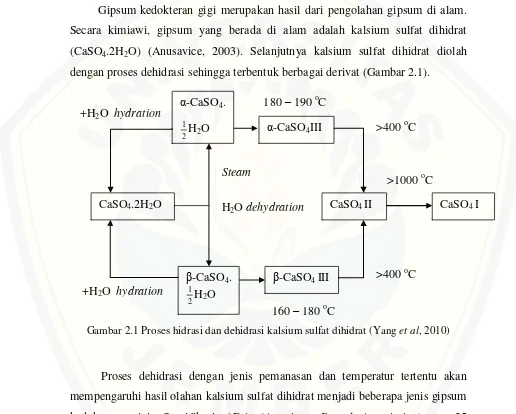 Gambar 2.1 Proses hidrasi dan dehidrasi kalsium sulfat dihidrat (Yang et al, 2010) 