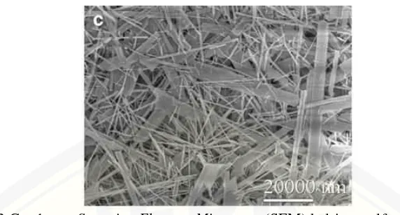Gambar 2.3 Gambaran Scanning Electron Microsopy (SEM) kalsium sulfat dihidrat      