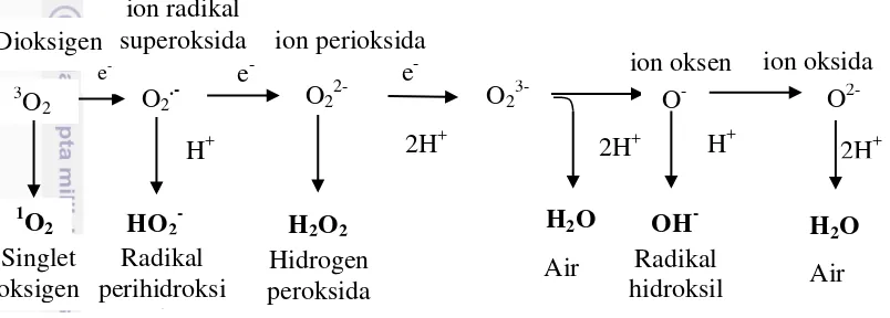 Gambar 3 Mekanisme pembentukan senyawa reactive oxygen species l    (ROS) (Apel dan Hirt 2004) 