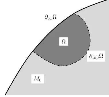 Figure 1. A regular open set Ω. Note that the interior of∂∞Ω is contained in Ω, but the true boundary ∂topΩ = ∂topΩis not contained in Ω