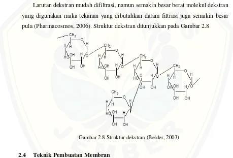 Gambar 2.8 Struktur dekstran (Belder, 2003) 
