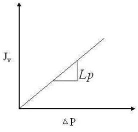 Gambar 2.9 Grafik penentuan koefisien permeabilitas (Lp) 