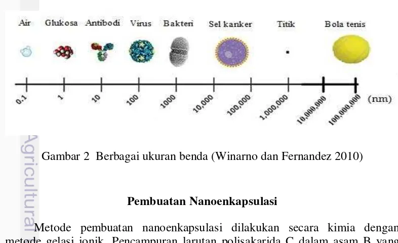 Tabel 4  Kandungan senyawa penciri yang diduga sebagai senyawa aktif  pada masing-masing ekstrak (Indariani 2011) 