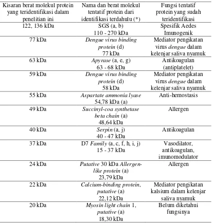 Tabel 4.1 Komparasi profil protein kelenjar saliva Ae. aegypti dalam penelitian ini    dengan hasil penelitian terdahulu