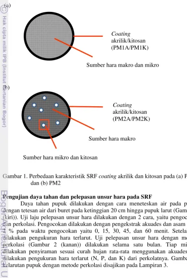 Gambar 1. Perbedaan karakteristik SRF coating akrilik dan kitosan pada (a) PM1 