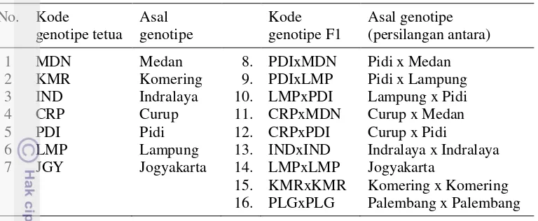 Tabel 1  Materi genetik tanaman tetua dan F1 jarak pagar 