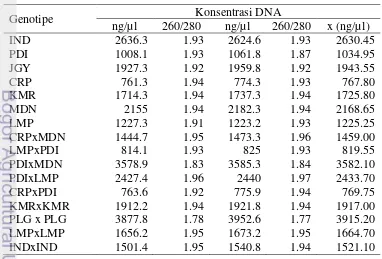 Tabel 7 Konsentrasi DNA genom 16 genotipe tetua dan F1 jarak pagar (ng/µl) 
