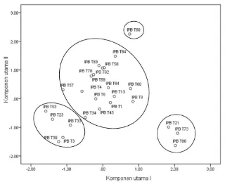 Gambar 14 Analisis komponen utama 25 genotipe tomat KU I dan KU III 