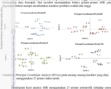 Gambar 4. Principal Coordinate Analysis (PCoA) pada masing-masing karakter yang diuji 