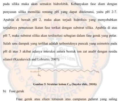 Gambar 5. Struktur kolom C18 (Snyder dkk., 2010)) 