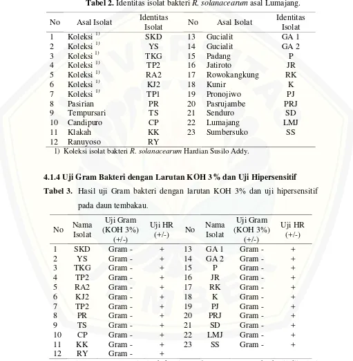 Tabel 2. Identitas isolat bakteri R. solanacearum asal Lumajang. 