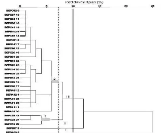 Gambar 4. Dendogram hasil analisis gerombol 30  genotipe terung 