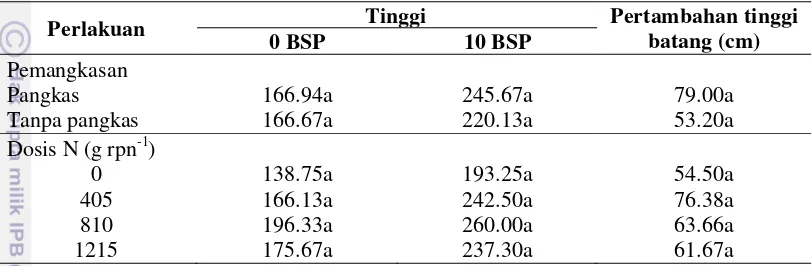 Tabel 6 Tinggi batang tanaman induk perlakuan pamangkasan dan dosis nitrogen. 