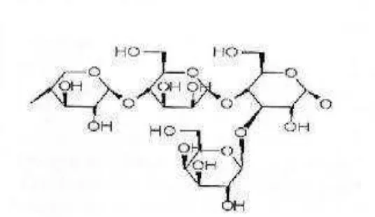 Gambar 1: Struktur selulosa 