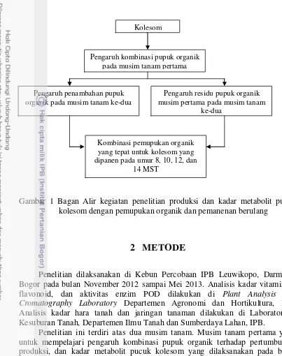Gambar 1 Bagan Alir kegiatan penelitian produksi dan kadar metabolit pucuk 