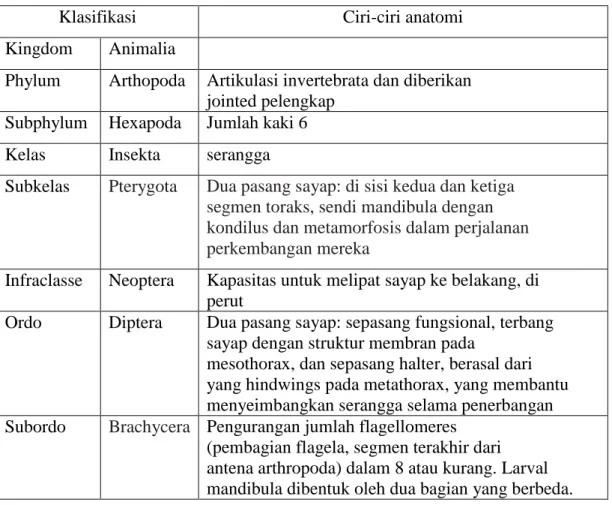 Tabel 1. Deskripsi  dan  ciri-ciri  khusus  anatomi  untuk  setiap  klasifikasi  menurut  Martinez  (1986), Maddison dan Schulz (2007)