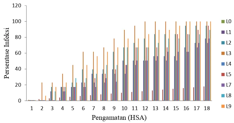 Gambar 12: Histogram pengaruh aplikasi B.thuringensis, B.bassianna, dan              