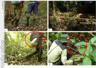 Gambar 19. Potensi gangguan habitat di lokasi penelitian. a. pencari hasil hutan 