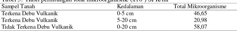 Tabel 3.  Hasil perhitungan total mikroorganisme (x108) SPK/ml  