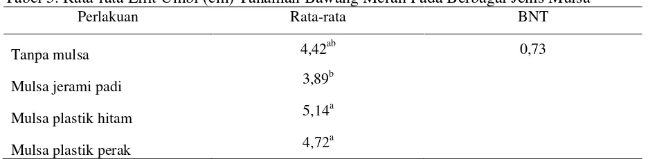 Tabel 5. Rata-rata Lilit Umbi (cm) Tanaman Bawang Merah Pada Berbagai Jenis Mulsa