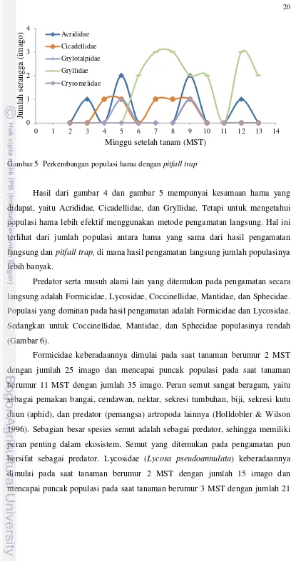 Gambar 5  Perkembangan populasi hama dengan pitfall trap 