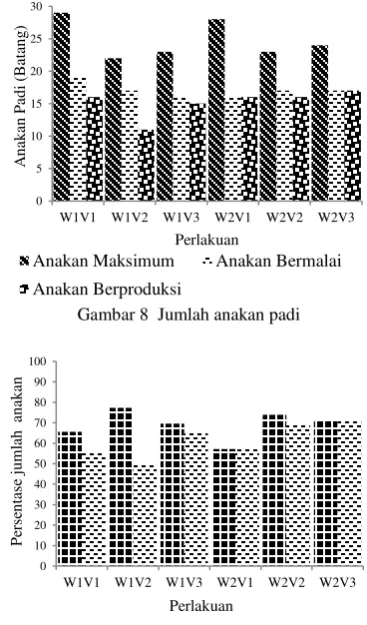 Gambar 8  Jumlah anakan padi  