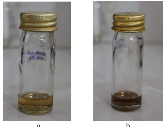 Gambar 4. a. Sebelum penambahan asam asetat anhidrida dan asam sulfat        b. Sesudah penambahan asam asetat anhidrida dan asam sulfat 